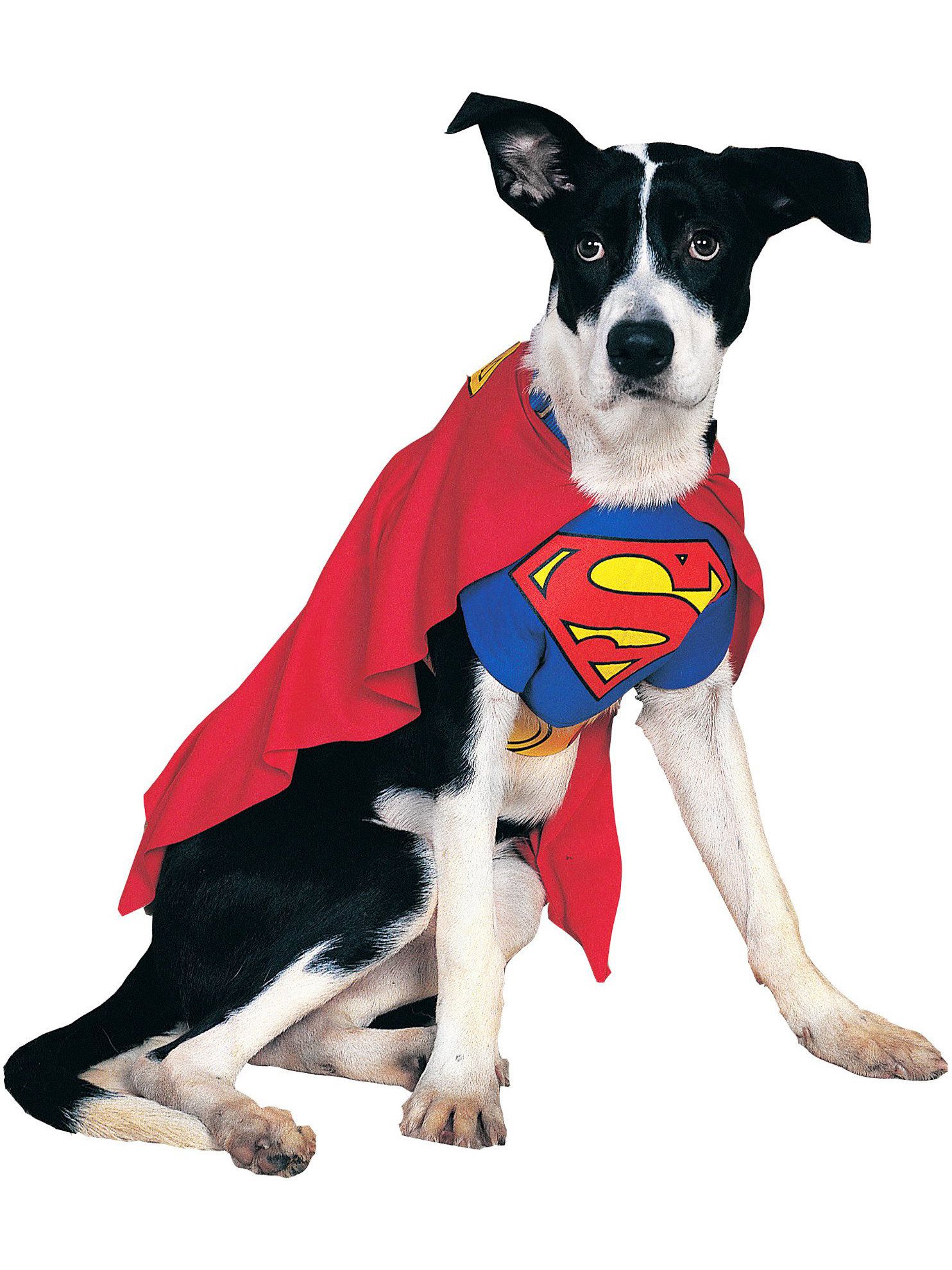 Photos - Fancy Dress Rubies II DC Comics Superman Pet Costume - Classic Red