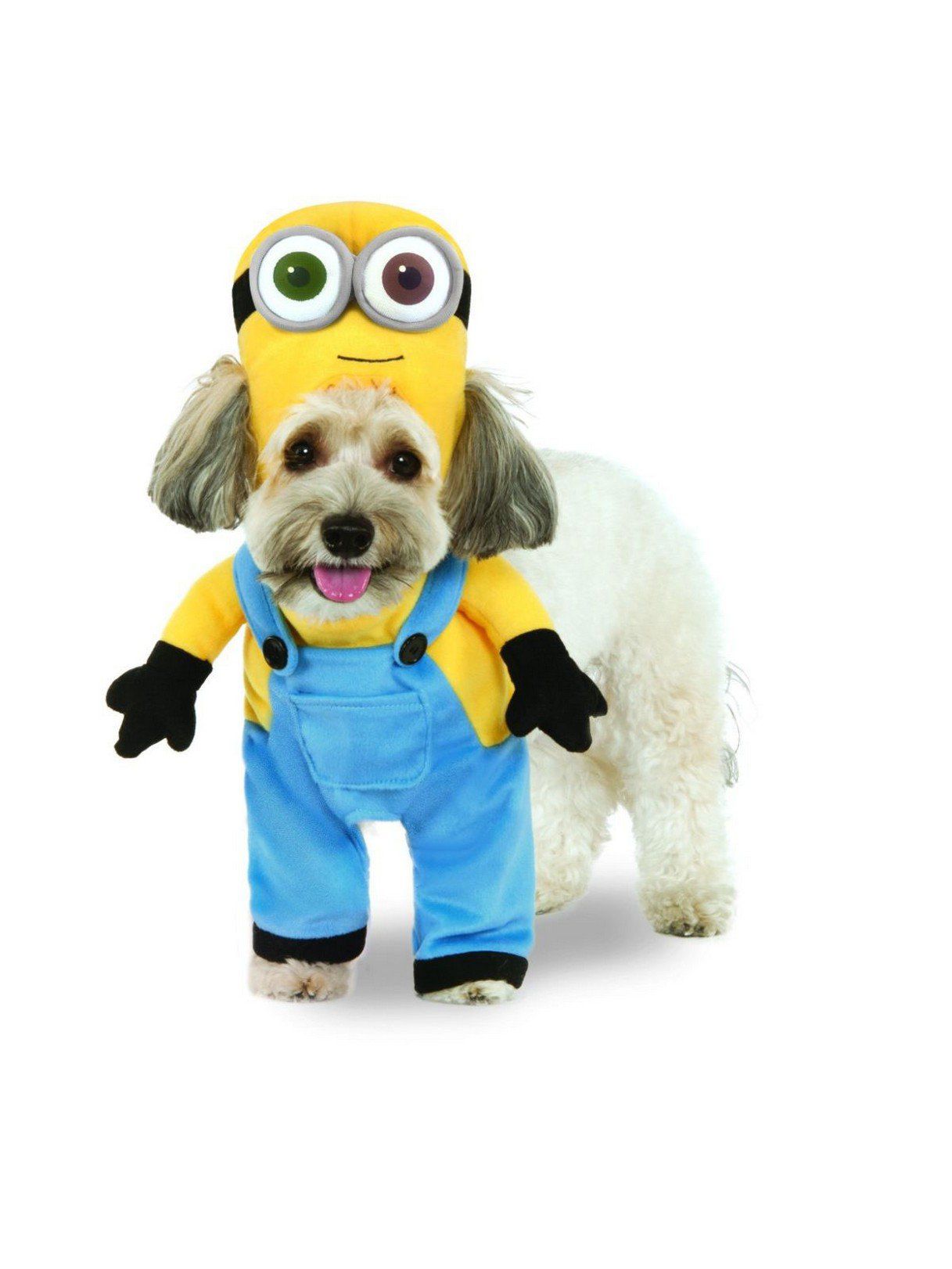 Despicable Me Minion Bob Walking Pet Costume