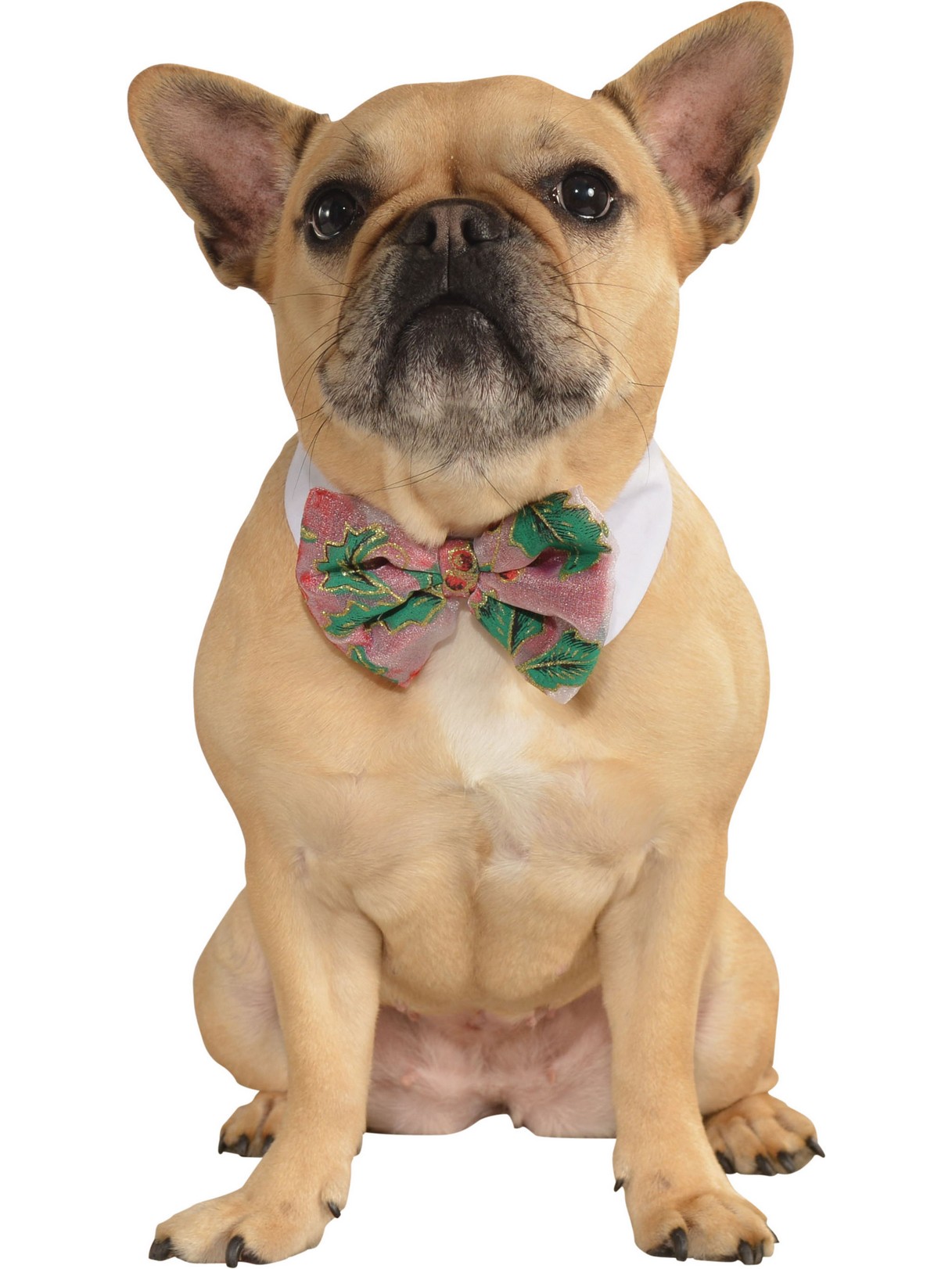 Pet Christmas Bowtie